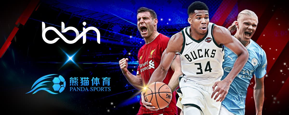 以及与国际